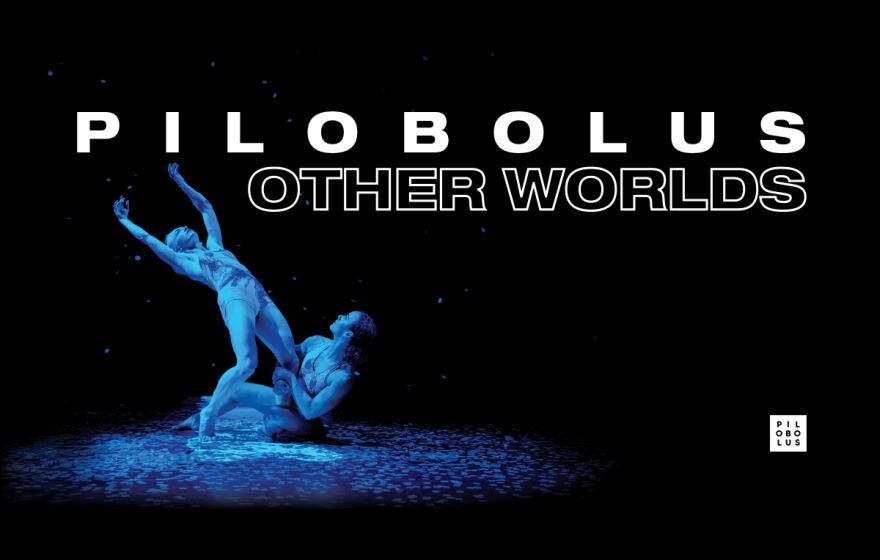 More Info for Pilobolus