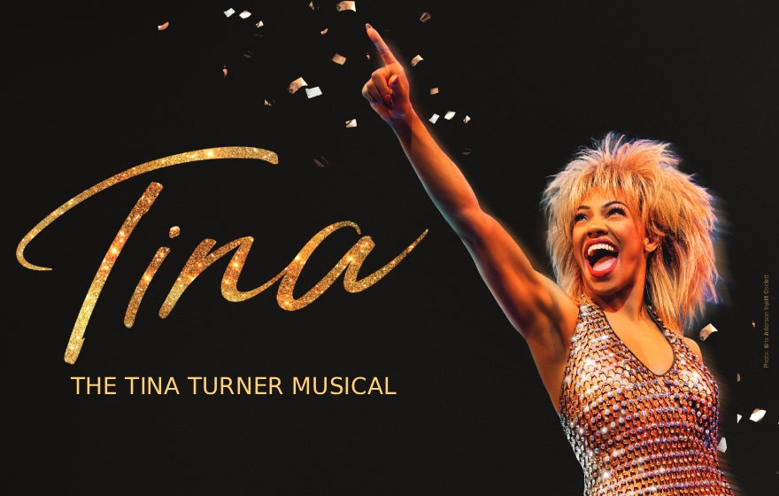 More Info for TINA: The Tina Turner Musical